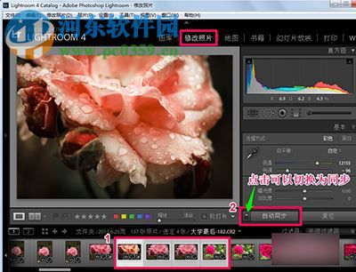 lightroom怎么批量处理照片?lightroom批量处理照片的方法