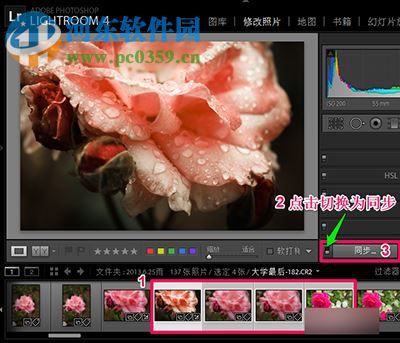lightroom怎么批量处理照片?lightroom批量处理照片的方法