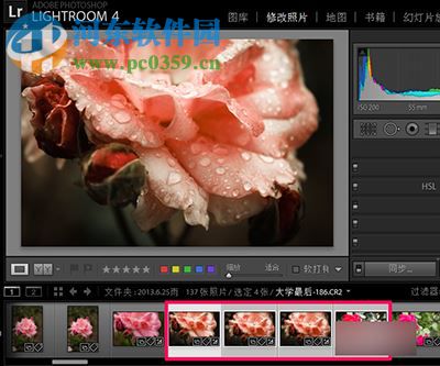 lightroom怎么批量处理照片?lightroom批量处理照片的方法
