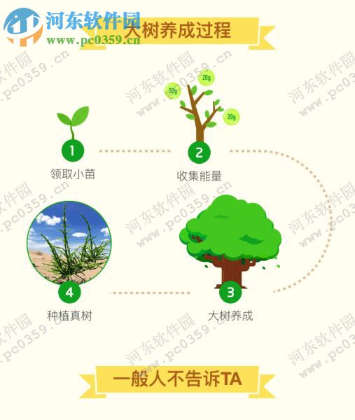 支付宝蚂蚁森林怎么集福?蚂蚁森林集福方法介绍?