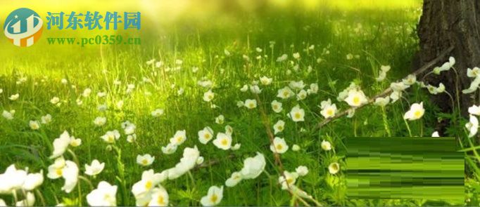 随意摆放桌面图标的教程