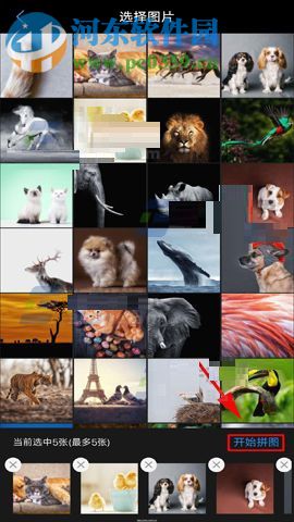 vivo X20相册拼图的方法介绍