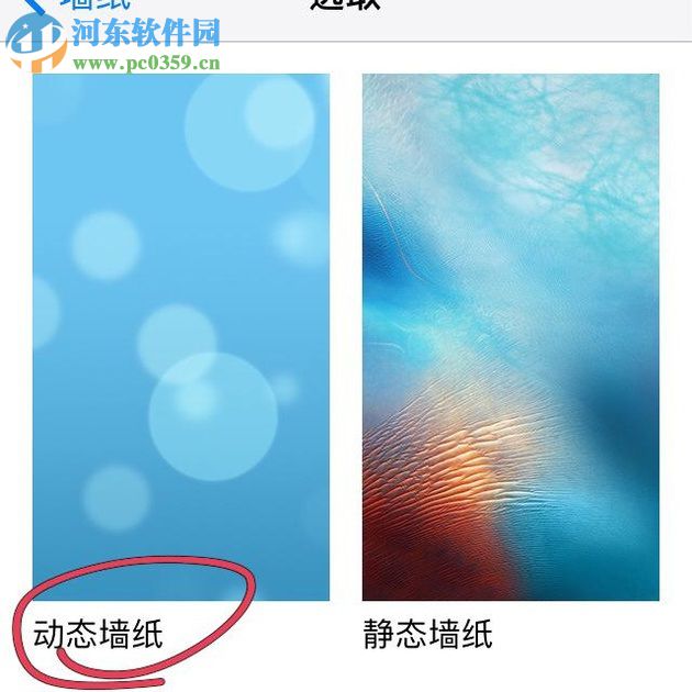 苹果手机设置动态壁纸的方法