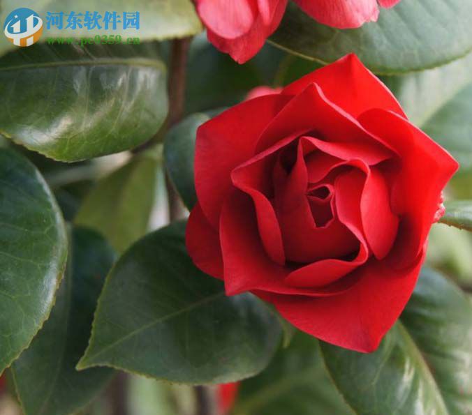 ps使用ps lab颜色抠图的方法