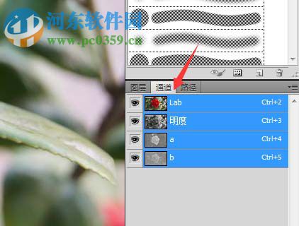 ps使用ps lab颜色抠图的方法