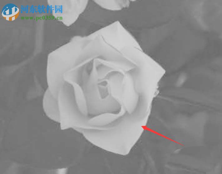 ps使用ps lab颜色抠图的方法