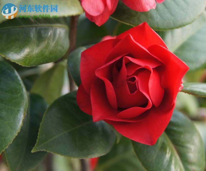 ps使用ps lab颜色抠图的方法