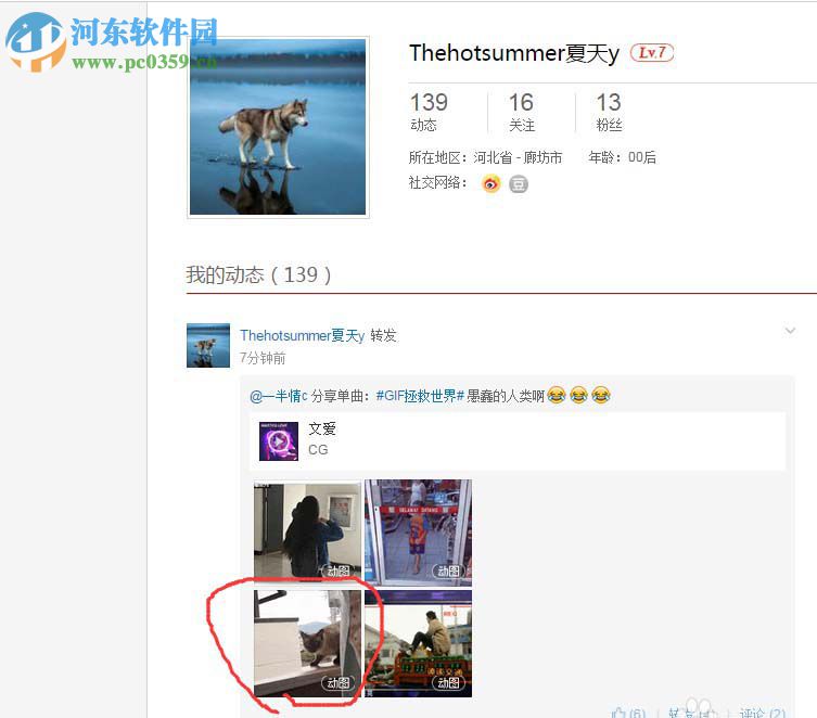 网易云音乐下载gif动图的方法