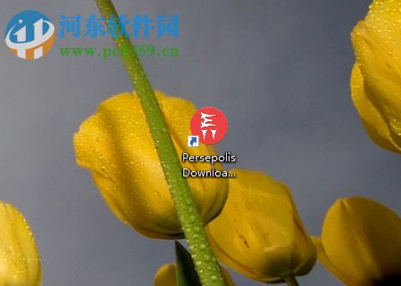 使用Persepolis Download Manager下载文件的方法