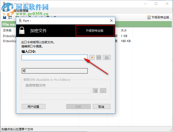 Fort Home Edition为文件加密的方法