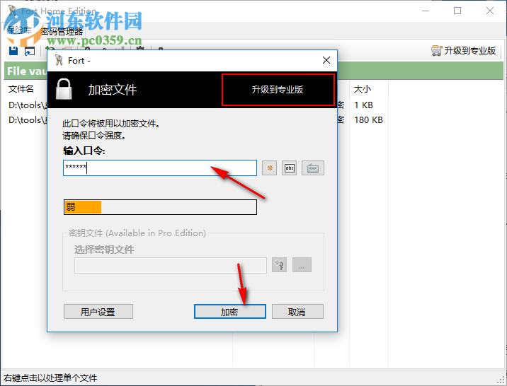 Fort Home Edition为文件加密的方法