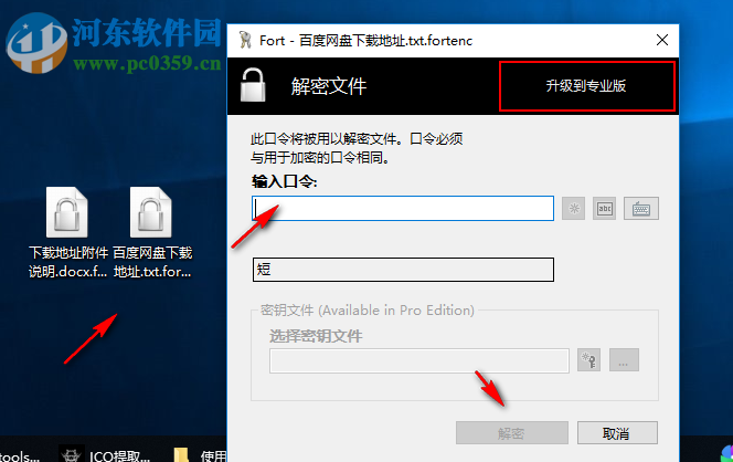 Fort Home Edition为文件加密的方法