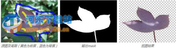 PopFore(抠图软件) 0.8 绿色免费版