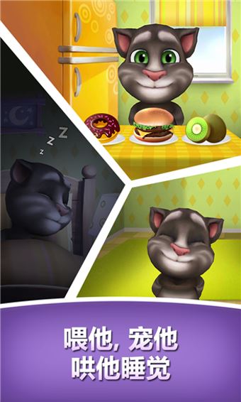 我的会说话的汤姆(4)