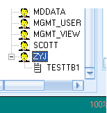 鱼肠ORACLE数据恢复软件 1.2 绿色版