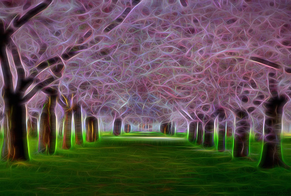 Topaz Glow Mac版 1.0.2