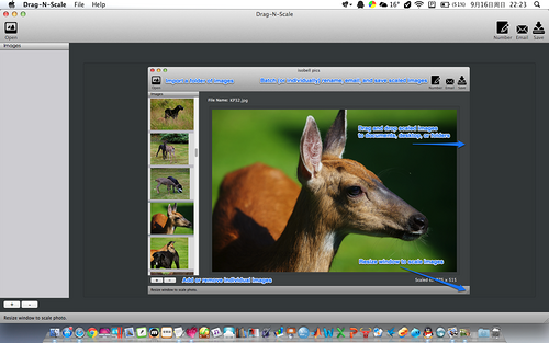 Drag N Scale for Mac版 2.6