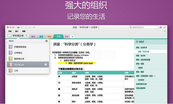 Onenote Mac版 15.20