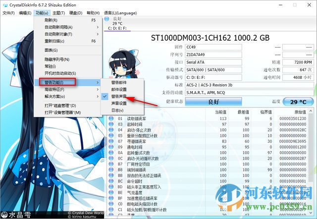 CrystalDiskInfo(硬盘监测工具)