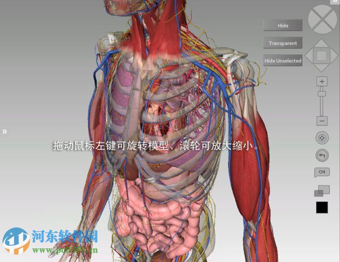3DBody系统解剖下载 7.0 中文正式版无限制
