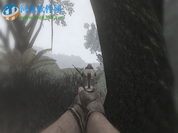 《孤岛惊魂2》 简体中文完整硬盘版