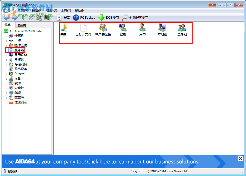 硬件检测工具(AIDA64 Engineer) 5.98.4800 绿色特别版