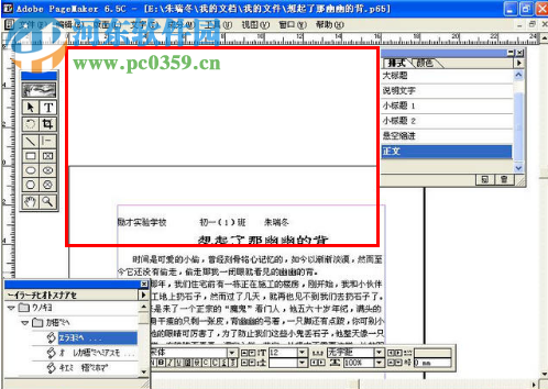 pagemaker6.5 中文免费版