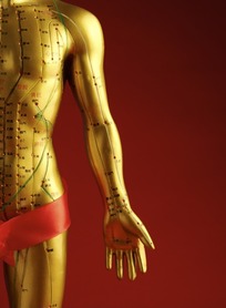 人体穴位3D模型(人体穴位查询软件) 2017 中文免费版