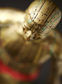 人体穴位3D模型(人体穴位查询软件) 2017 中文免费版