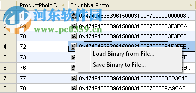 databaseeditor(数据库编辑器) 0.1.9.2 免费绿色版
