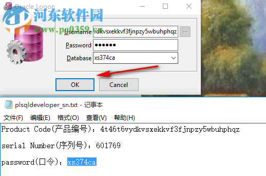 PLSQL Developer 64位(附注册码) 11.0.5 官方中文版