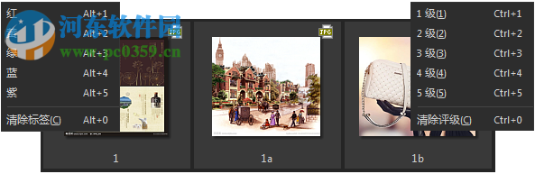 ACDSee 5.0下载 5.0.1.0006 简体中文精典绿色版