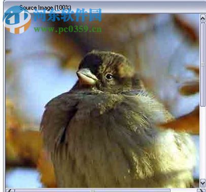 jpeg enhancer下载 2017 免费版