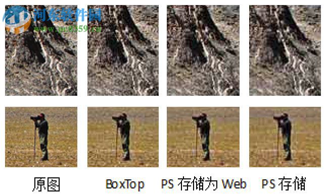projpeg(格式滤镜) 6.0 绿色汉化版