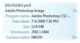 PSDCodec 32位/64位下载(PSD文件查看器) 1.6.1.0 官方版