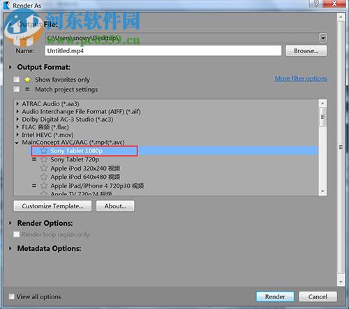 Vegas Pro 9.0 32/64位 免费版