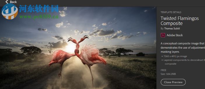 adobe photoshop10.0 官方中文版 免费版