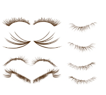 ps眼睫毛笔刷 10套 免费版