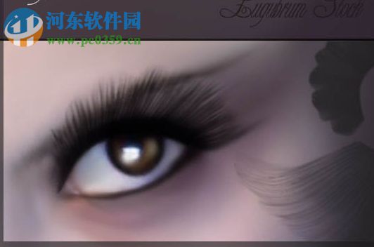 ps眼睫毛笔刷 10套 免费版