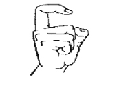 星空手语词典下载 3.0 绿色版