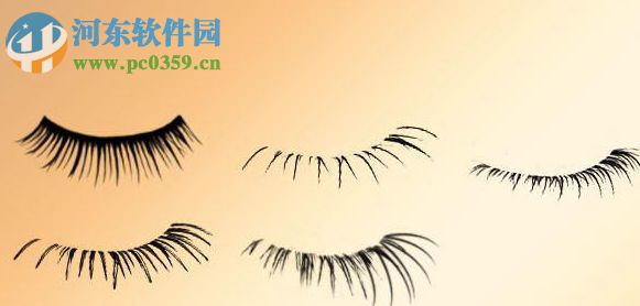 PS睫毛笔刷(附安装教程) 免费版