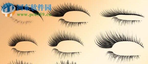 PS睫毛笔刷(附安装教程) 免费版