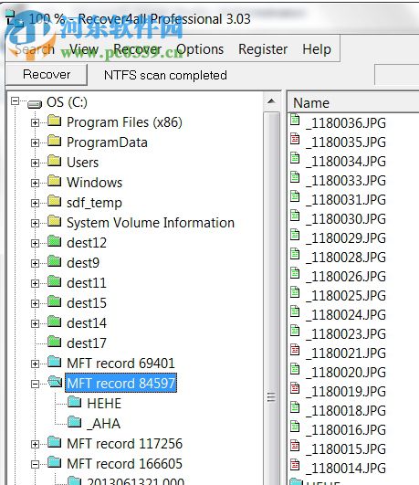 Recover4all Pro(数据恢复软件) 5.01 中文绿色版