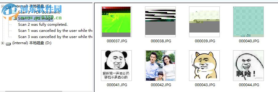 Recover4all Pro(数据恢复软件) 5.01 中文绿色版