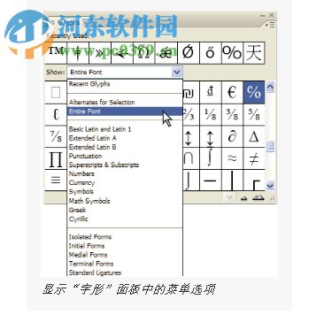 Indesign拼音排版 免费版