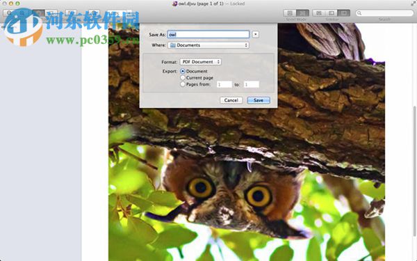 DjVuReader for Mac（djvu阅读器） 1.5.9