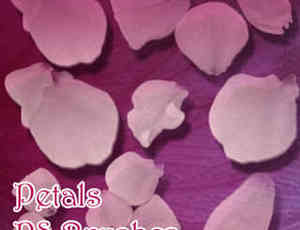 ps花瓣笔刷下载 2017 免费版