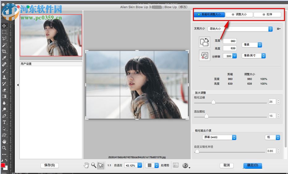 alien skin blow up for mac（图片无损放大软件） 3.1.0.146