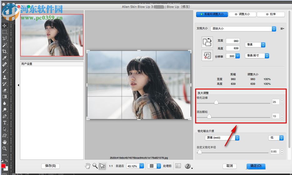 alien skin blow up for mac（图片无损放大软件） 3.1.0.146