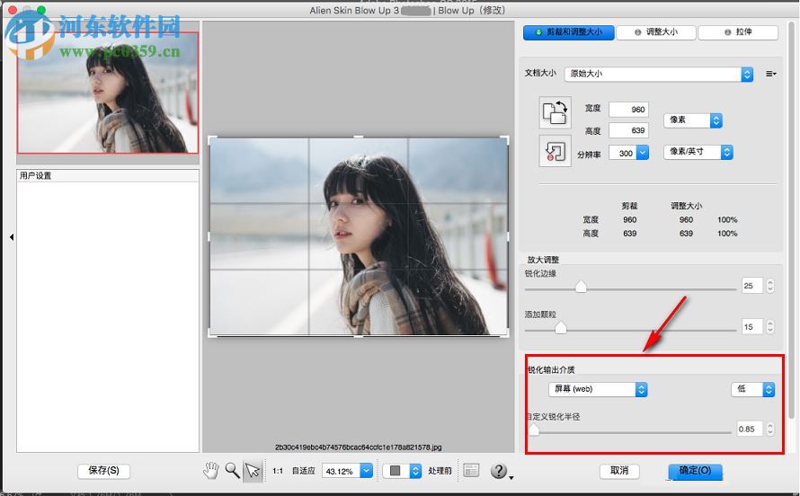 alien skin blow up for mac（图片无损放大软件） 3.1.0.146